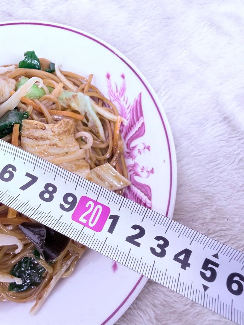 昭和レトロ 焼きそば 食品サンプル 直径約23cm 町中華 屋台