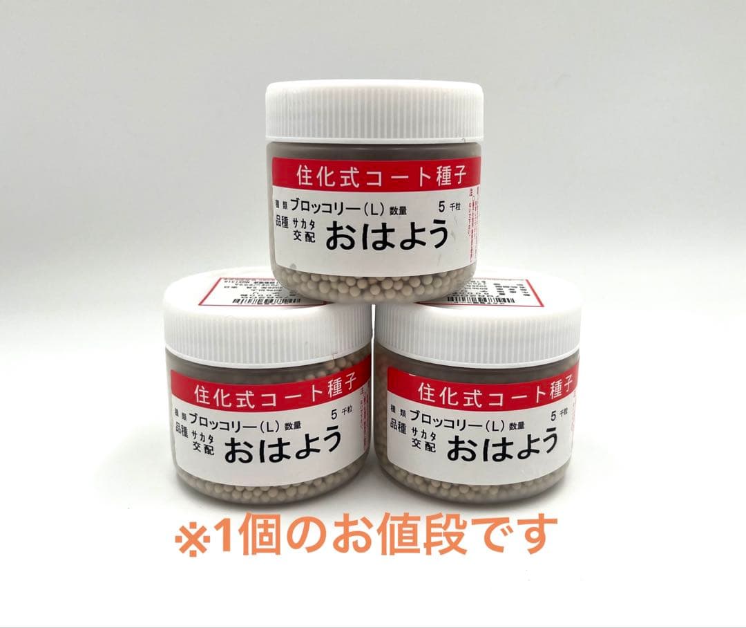 【匿名発送】大人気ブロッコリー種子（おはよう）5000粒