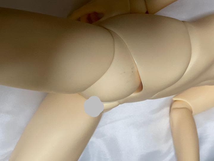 【匿名配送】SD-F-58番 SDGrボディ