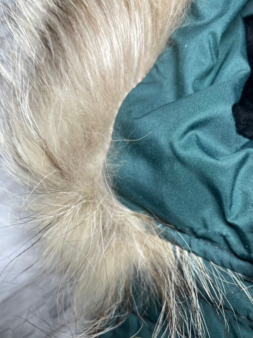 N-3B SPIEWAK 希少色 ターコイズ USA製 XLゴールデンフリース