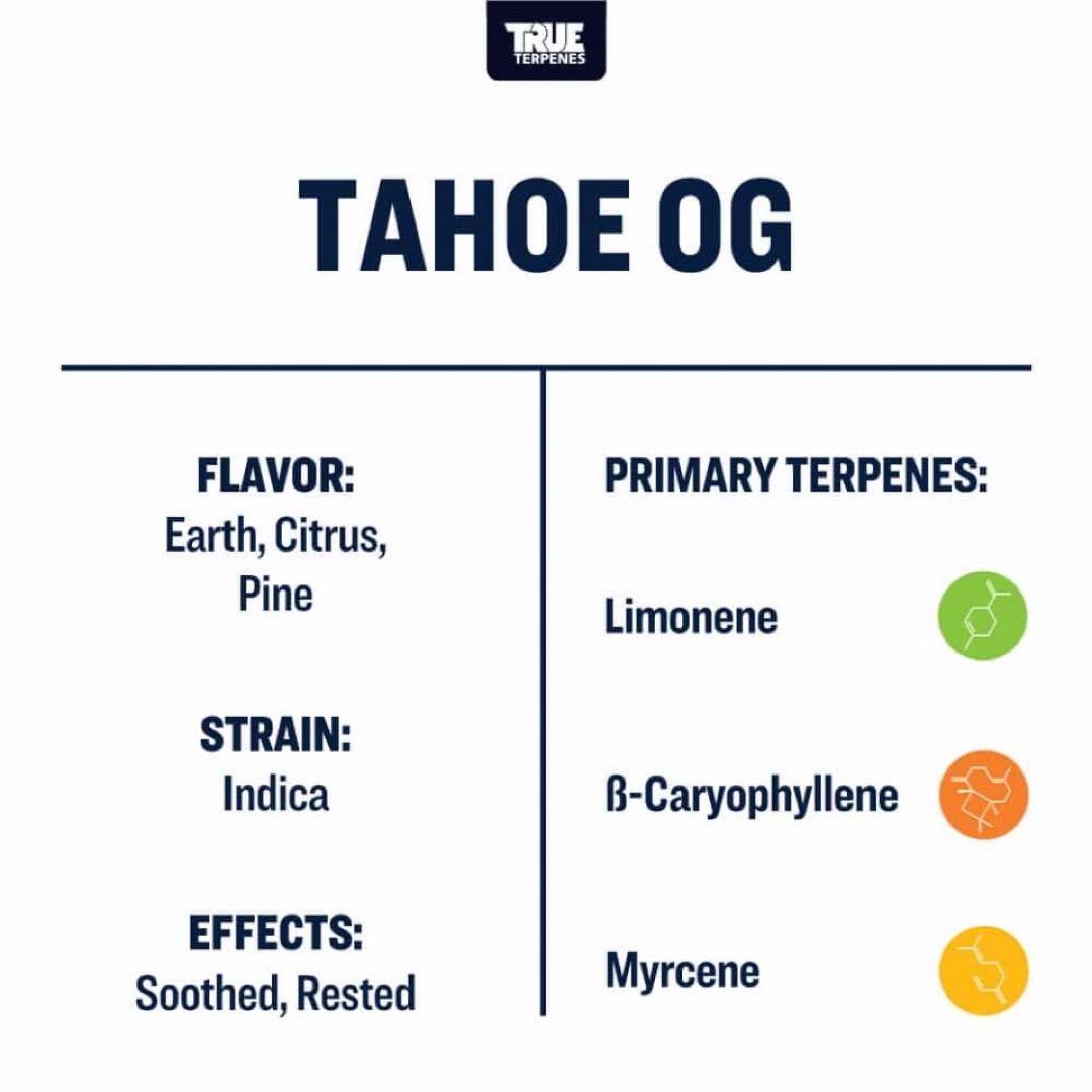 TRUE テルペン 香料 CBD CBN CBG 10ml タホオージー