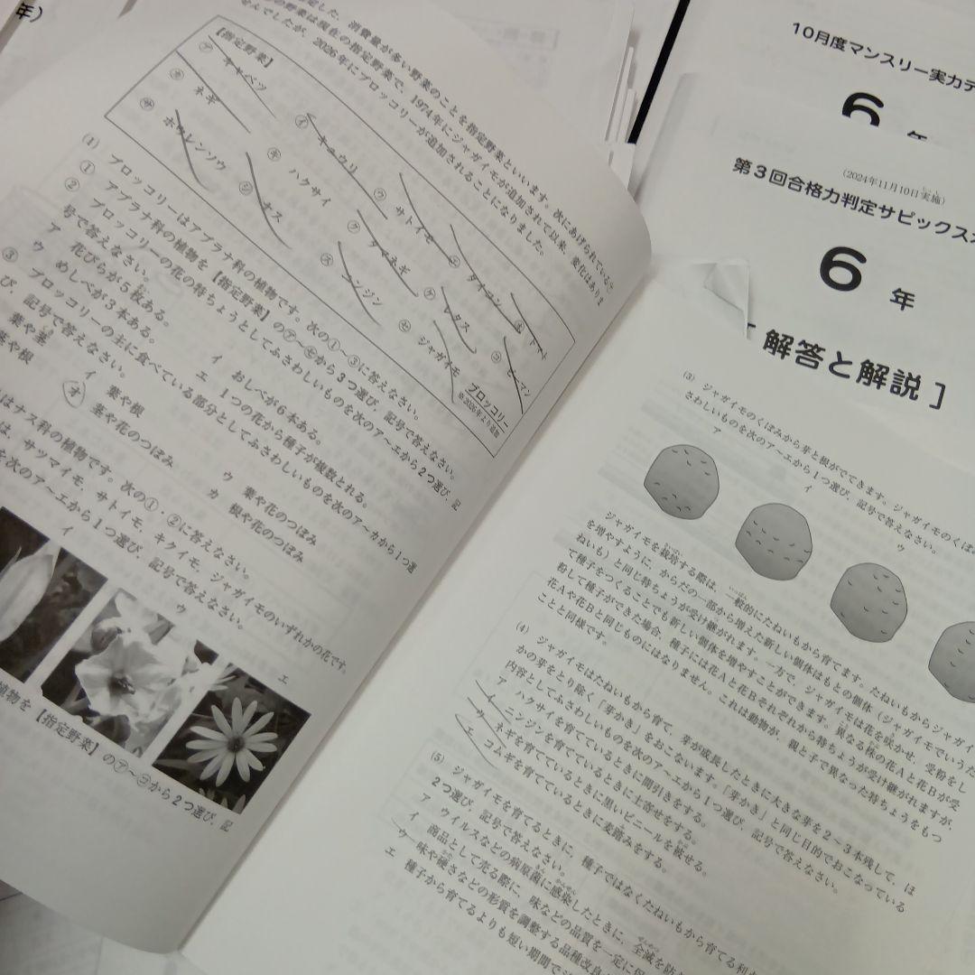 サピックス6年　2024年度版 マンスリーテスト17回　中古原本