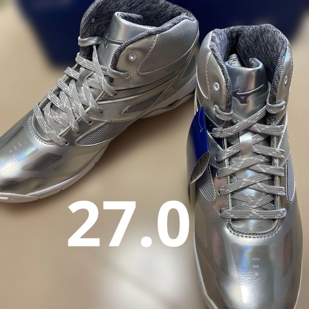 Mizuno ウェーブダイバース DE 27.0cm シルバー