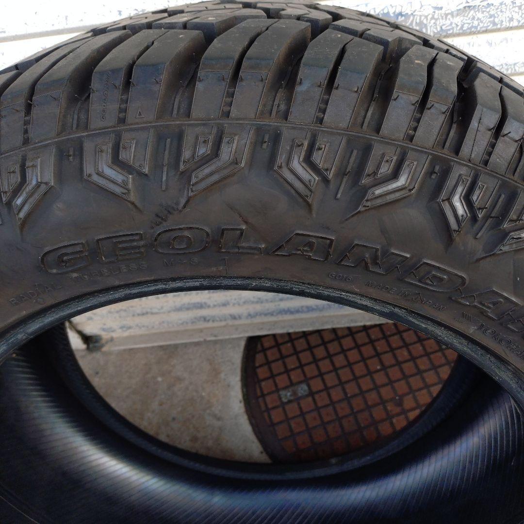 ヨコハマジオランダーX-ATバリ山　2020年製