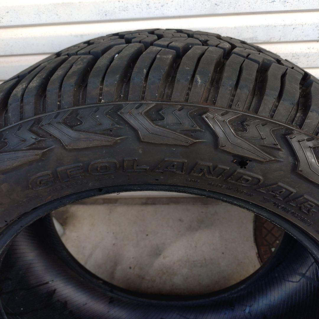 ヨコハマジオランダーX-ATバリ山　2020年製