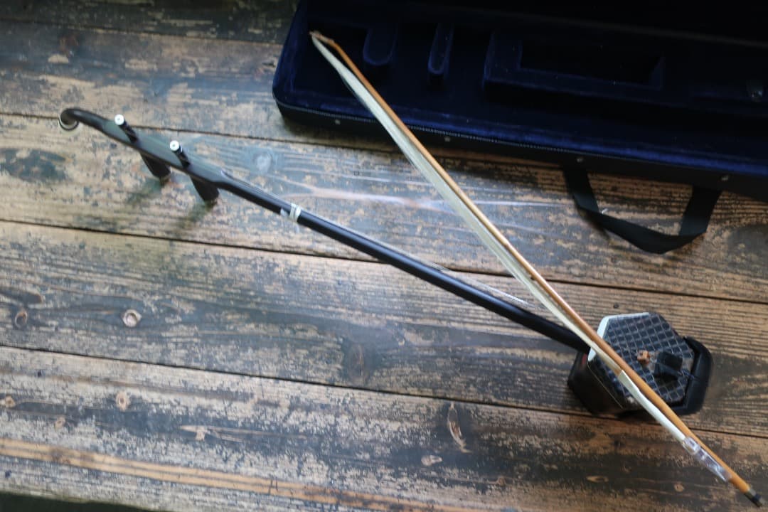 e*a様 動画あり！美品！二胡