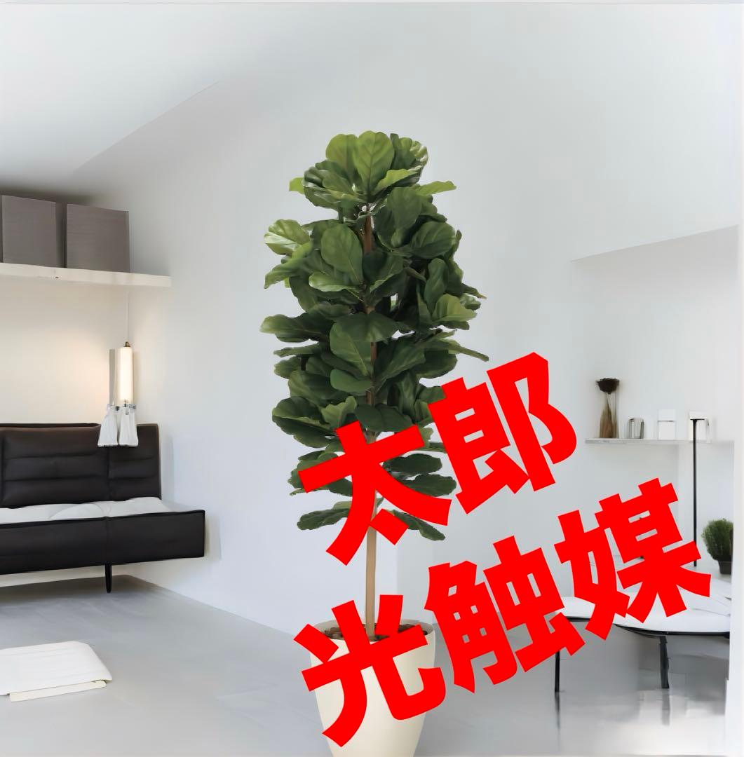 光触媒　人工観葉植物　フェイクグリーン　DXカシワバゴム1.8maj