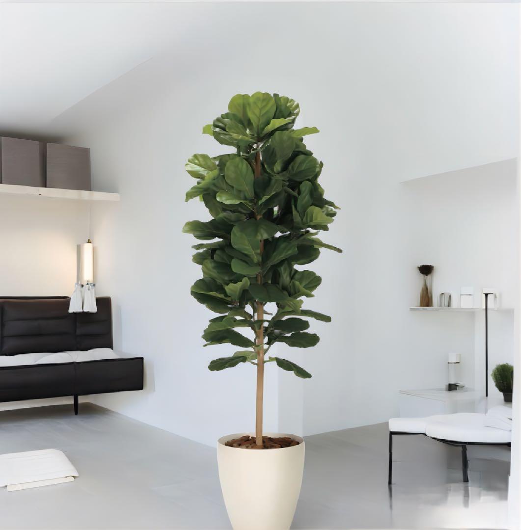 光触媒　人工観葉植物　フェイクグリーン　DXカシワバゴム1.8maj