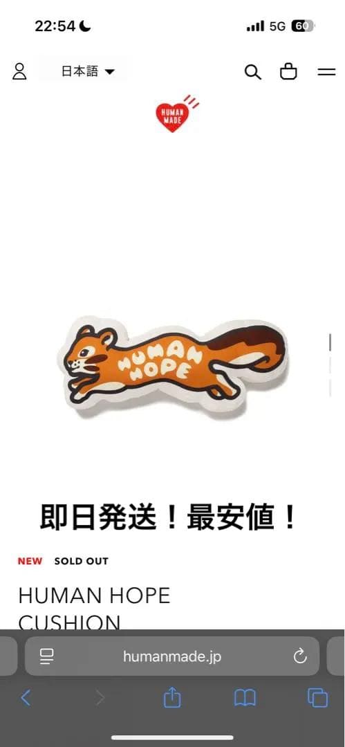 【稀少価値】 HUMAN HOPE CUSHION j-hope 完売商品