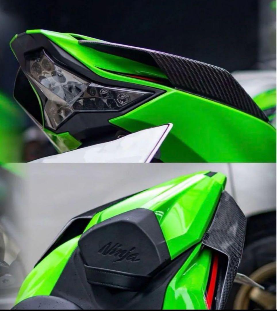 ZX25R /ZX4R カーボンパーツ(ピーマン)
