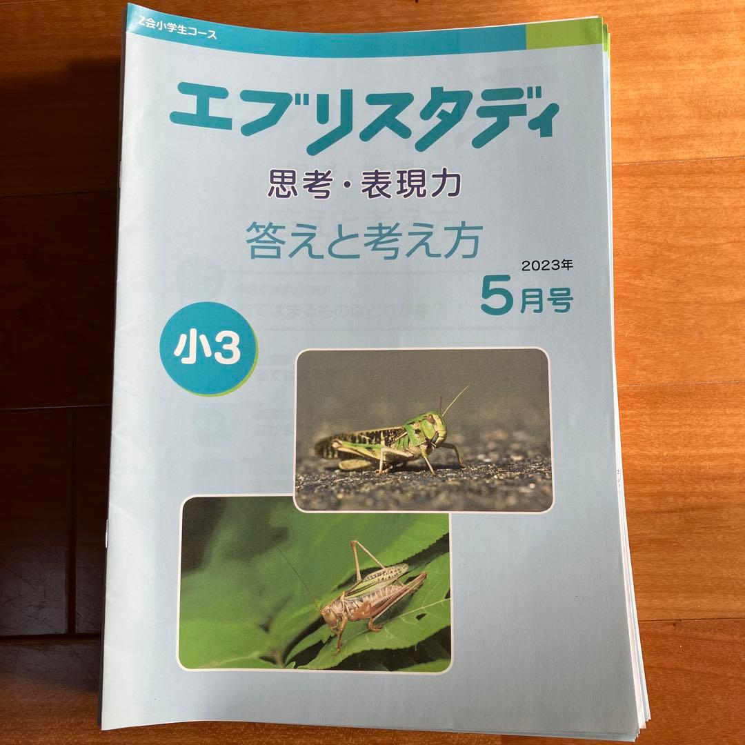 ★新品★Z会エブリスタディ思考・表現力　小3 11カ月分
