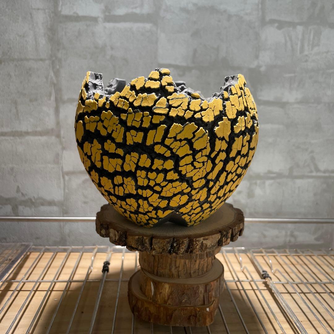 Konect Mサイズ 【植木鉢】塊根植物