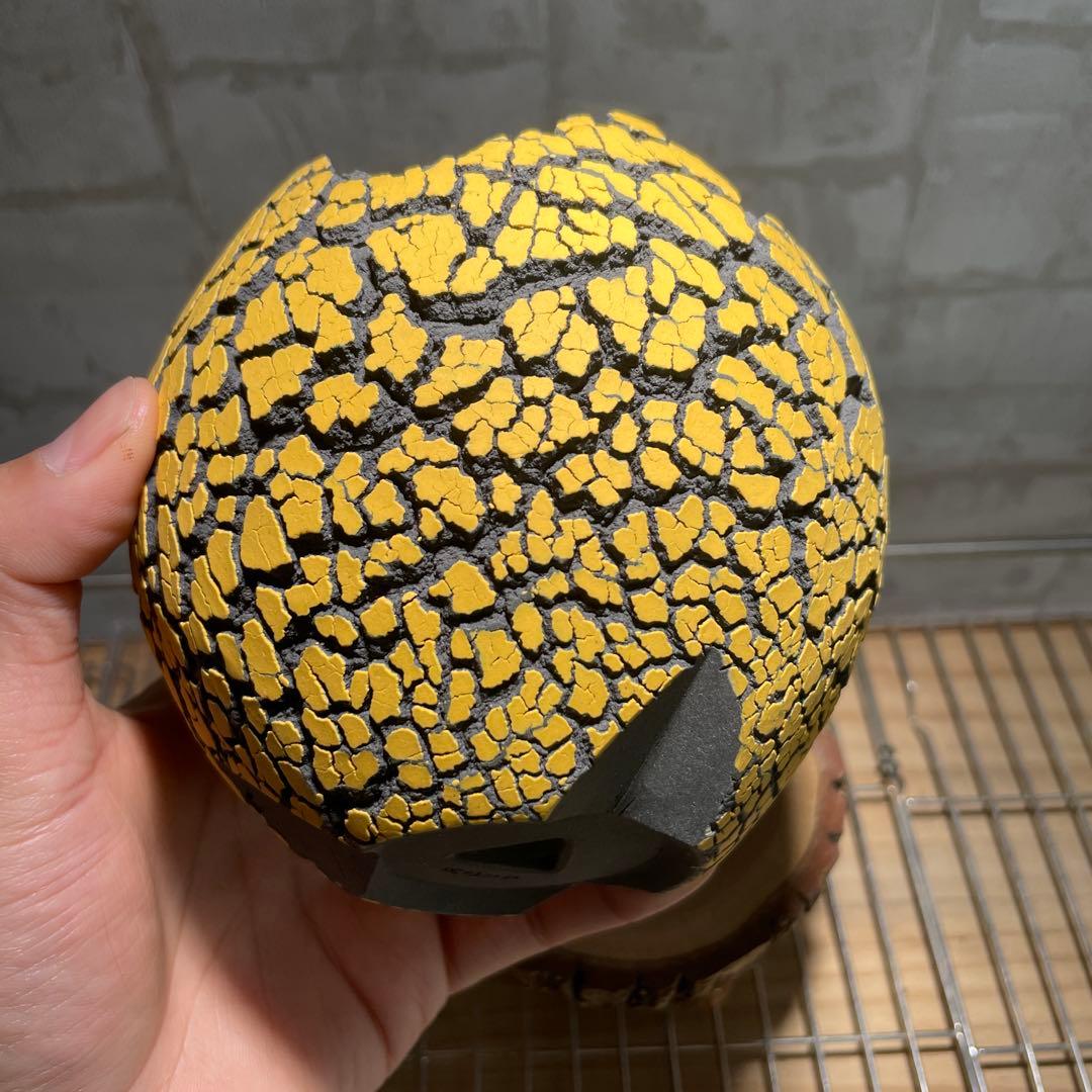 Konect Mサイズ 【植木鉢】塊根植物