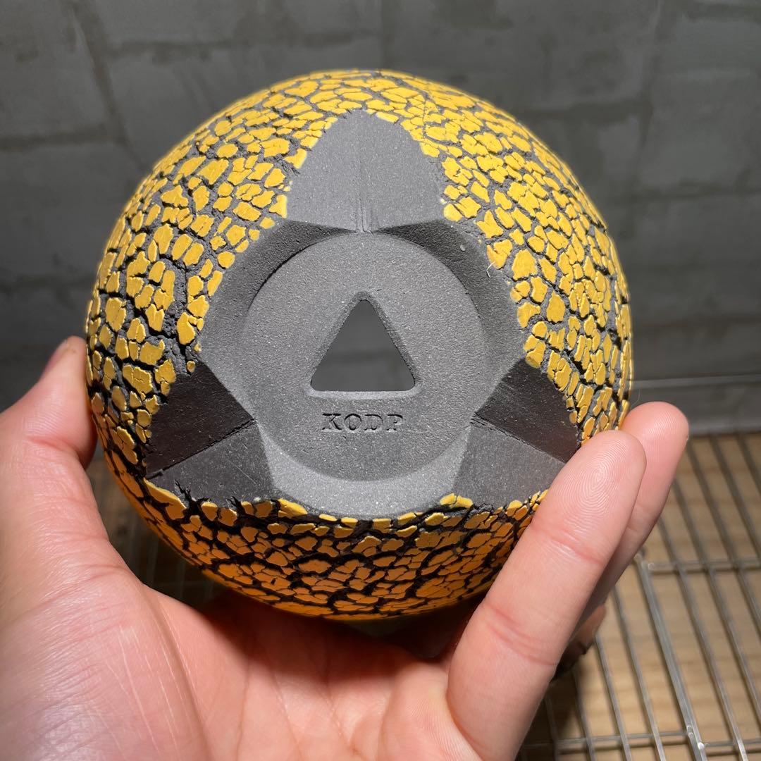 Konect Mサイズ 【植木鉢】塊根植物