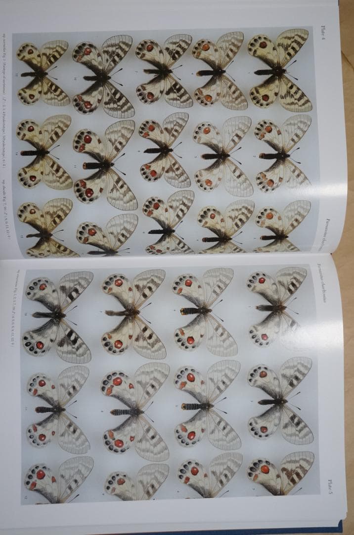 ◆パルナシウス大図鑑　講談社　2002年3月20日第一刷発行　定価61600円