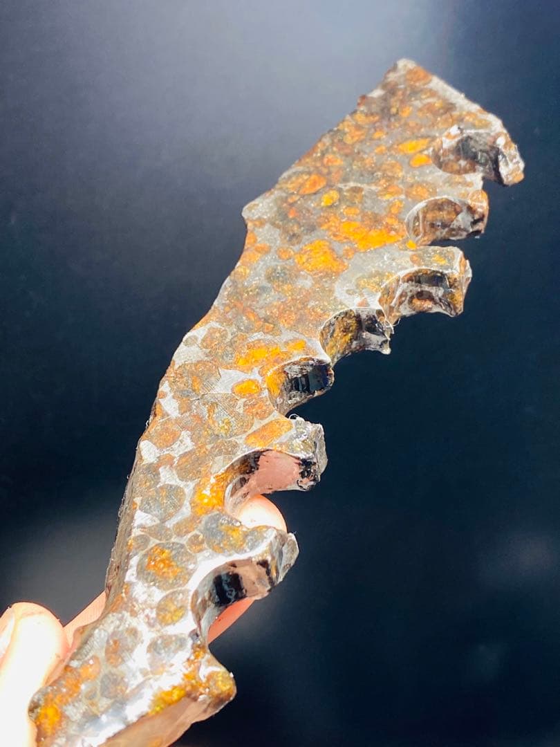 さいこ⭐︎鑑別書付き パラサイト隕石 200g 隕石 石鉄隕石 セリコ隕石