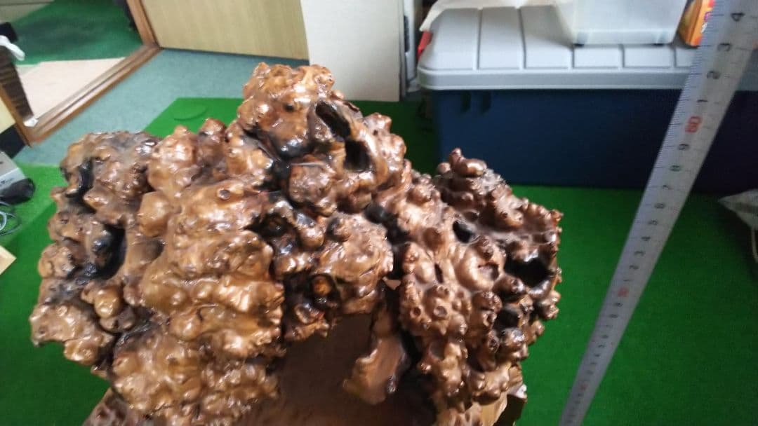 希少品 北海道日高町発 こぶ木（胡桃）、ダケカンバ 置き物