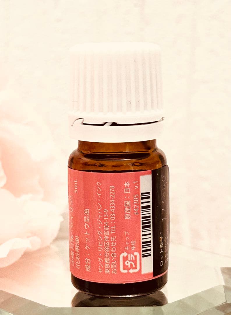 【新品未開封】沖縄タイリン 2025年１月限定ヤングリヴィング 正規品