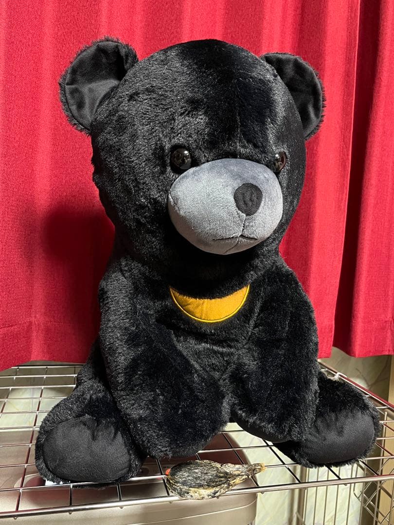 ツキノワグマ　25g