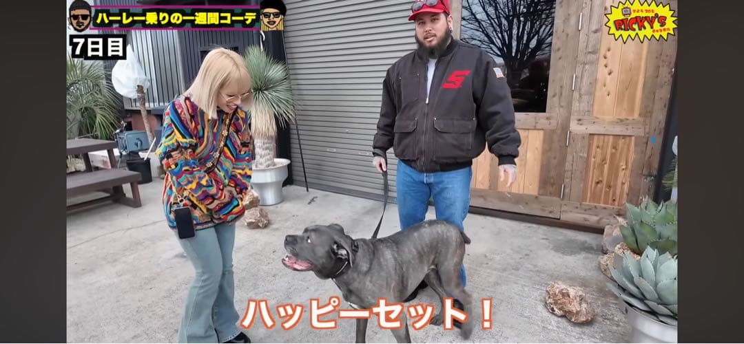 リッキーズチャンネル　リッキーさん　着用　スナップオン　ダックジャケット　レア物