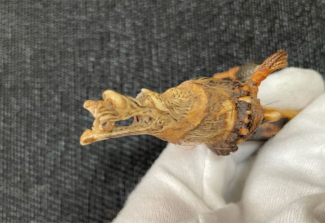 龍　根付　天然素材　縁起物　時代物　古美術品 繊細彫刻　レア　アンティーク