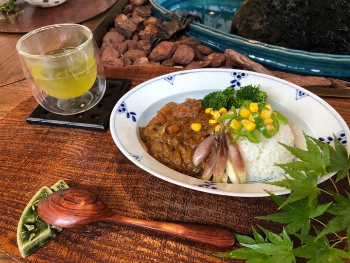 和食器彩りセット