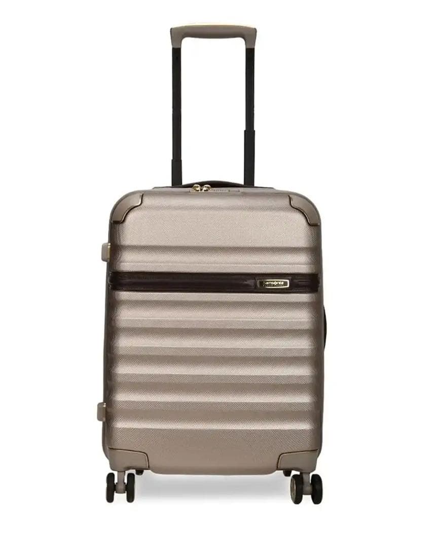 サムソナイト 高級シリーズ BlackLabel リッチモンド　機内持ち込み