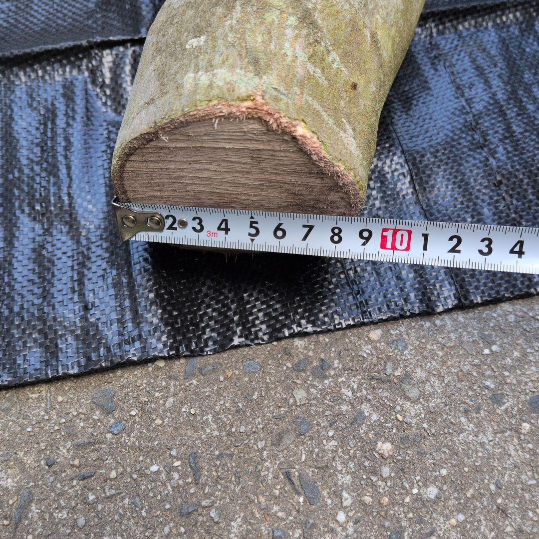 オリーブ　剪定枝　太枝　太木挿し