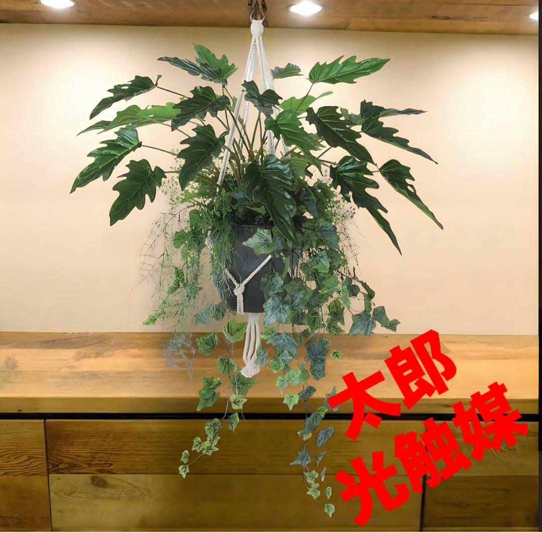 光触媒　人工観葉植物　ウォールグリーン　フェイクグリーン　壁掛けクッカバラ70