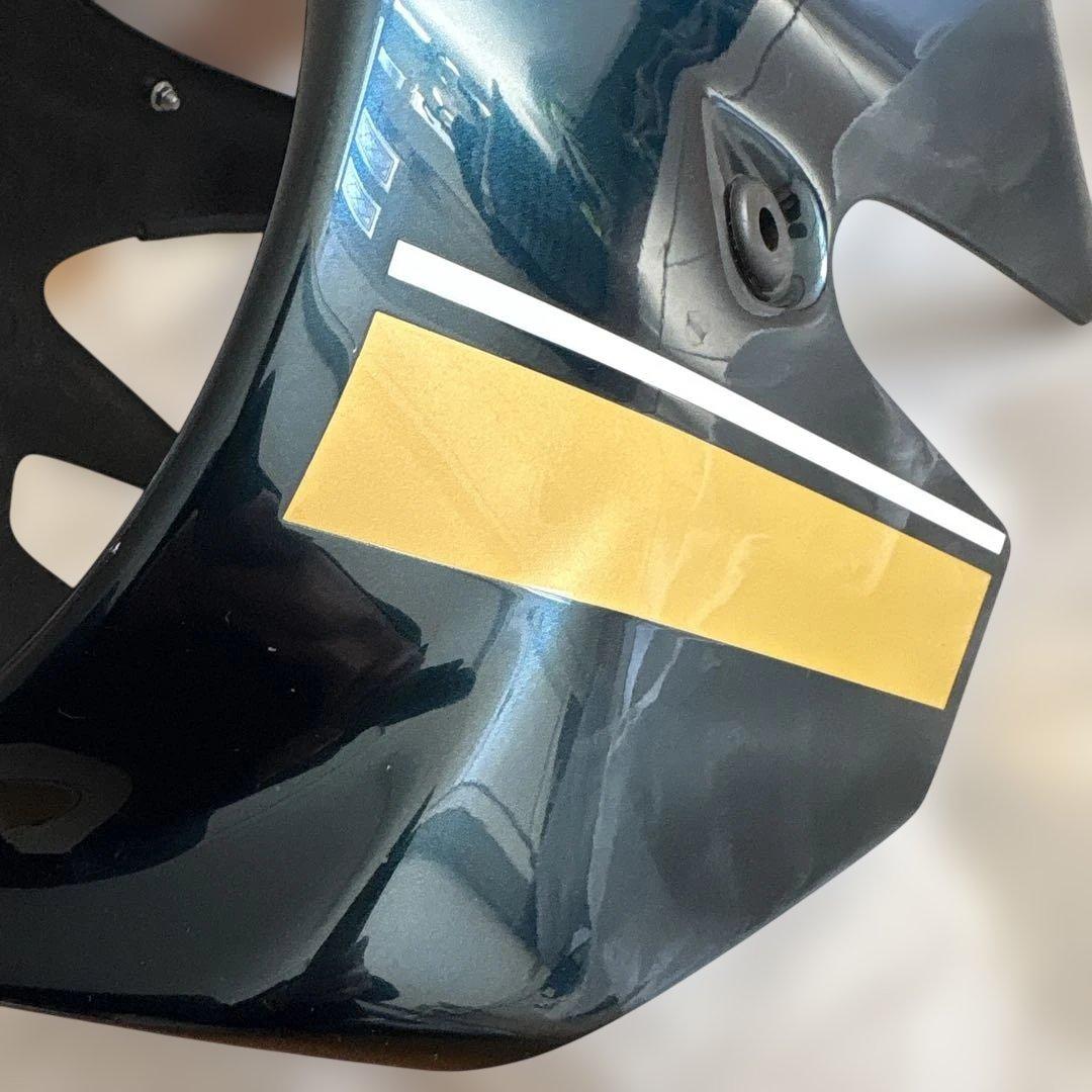 Z900RS CHICDESIGN シックデザイン　ビキニカウル