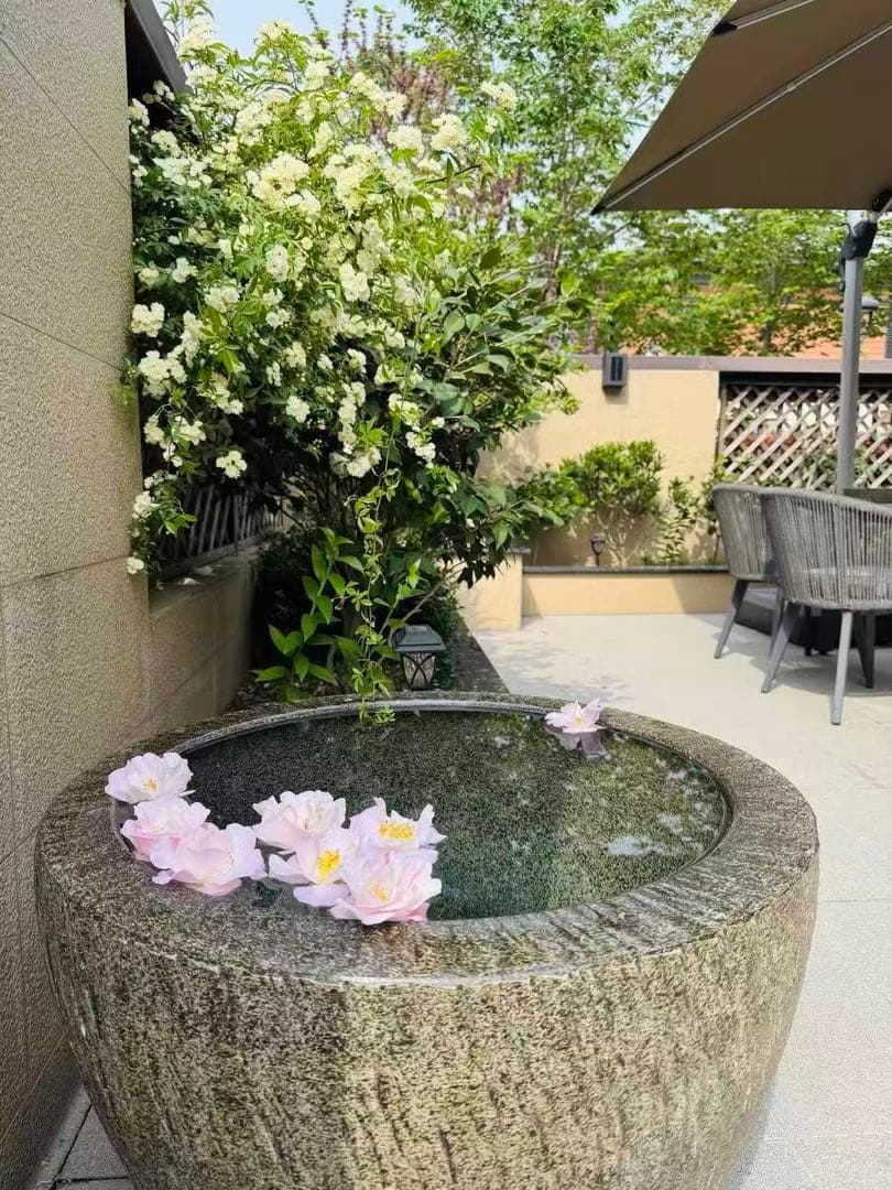 特大睡蓮鉢　金魚　メダカ飼育鉢　内径51約cm