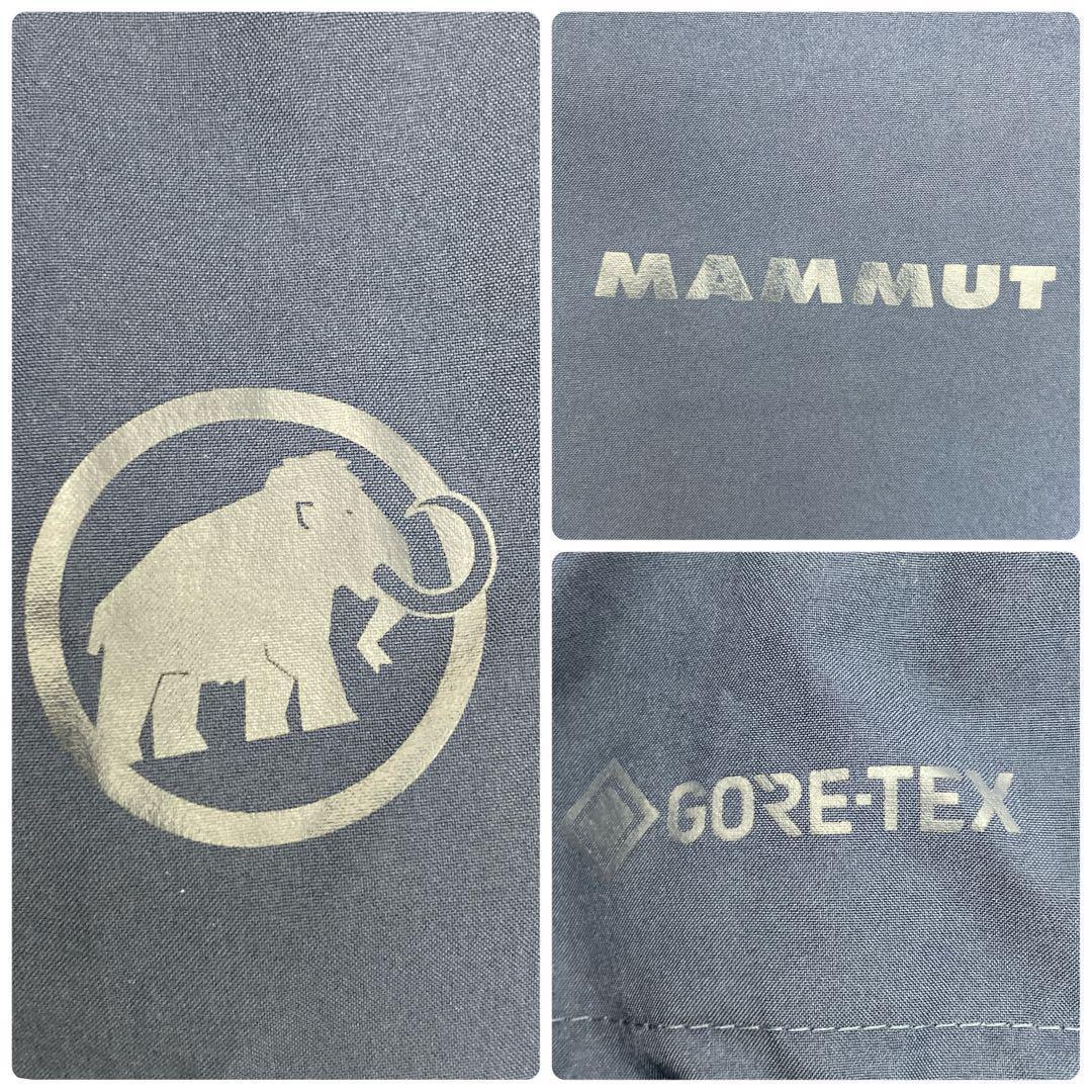 【最強モデル】レア3XLマムート アヤコプロ ゴアテックス マウンテンパーカー.