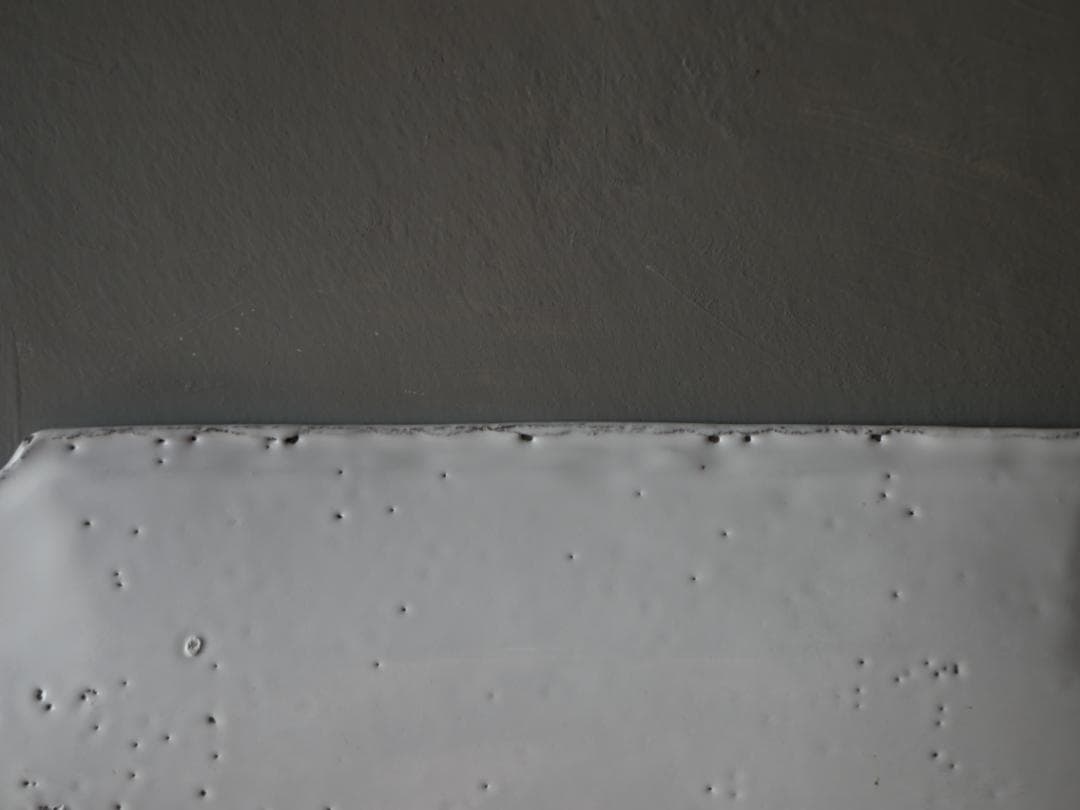 アスティエ　食器　ASTIER de VILLATTE フィッシュプラッター