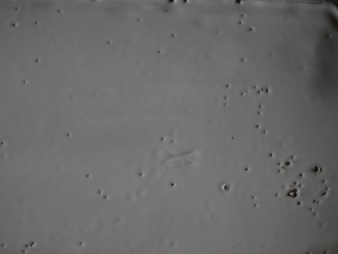 アスティエ　食器　ASTIER de VILLATTE フィッシュプラッター