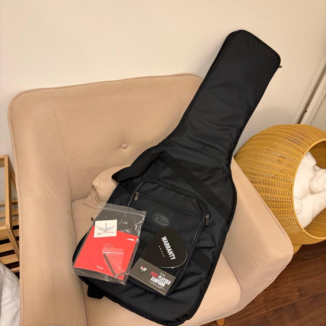 はるFENDER Thinline Kusumi Telecaster