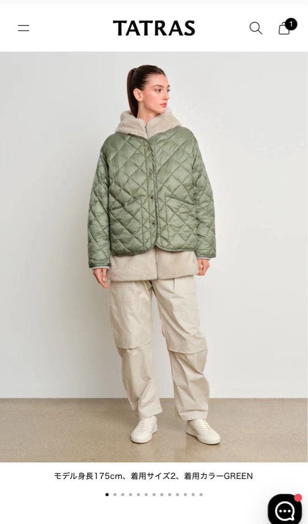 まうさん専用　タトラス　アスター