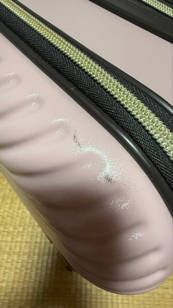 【送料込み】ムーミン キャリーケース ピンク スーツケース MOOMIN