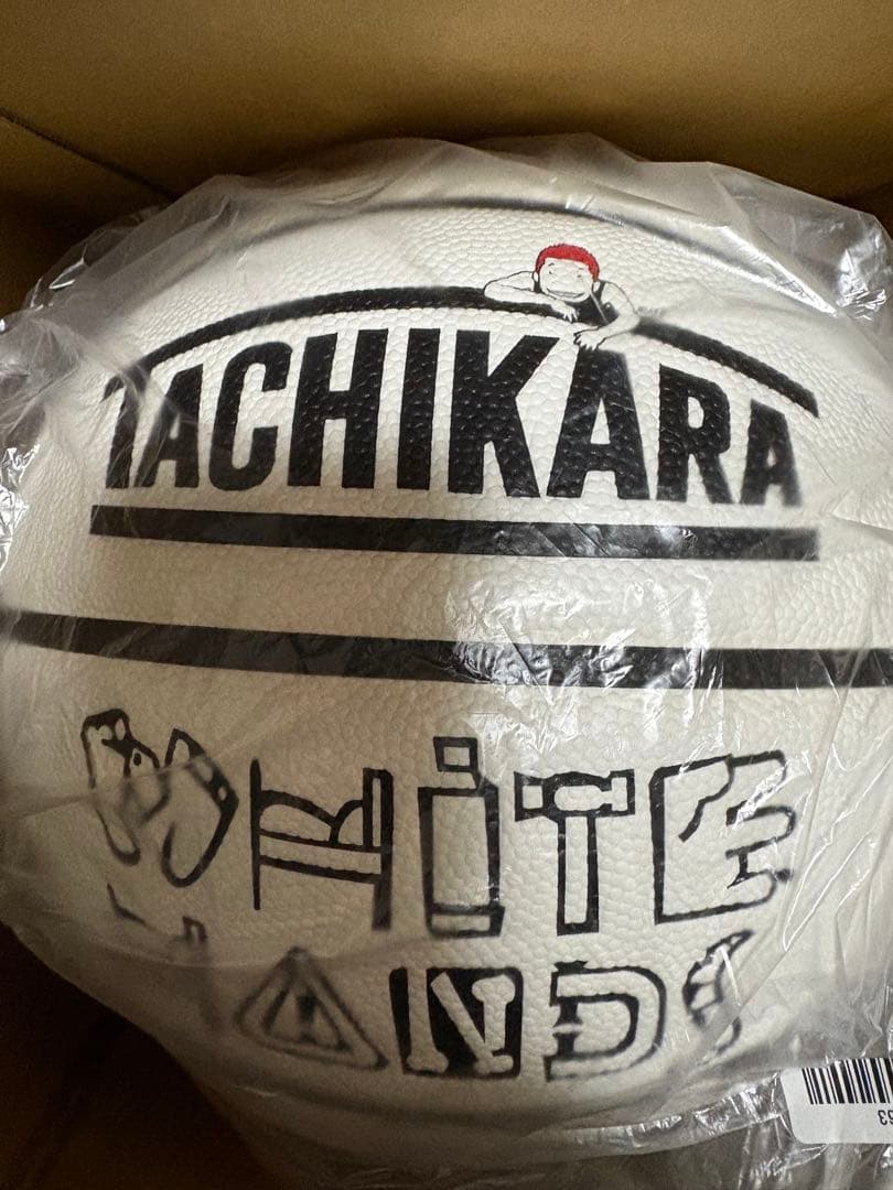 値下げ可能　SLAM DUNK × TACHIKARA BALL PACK