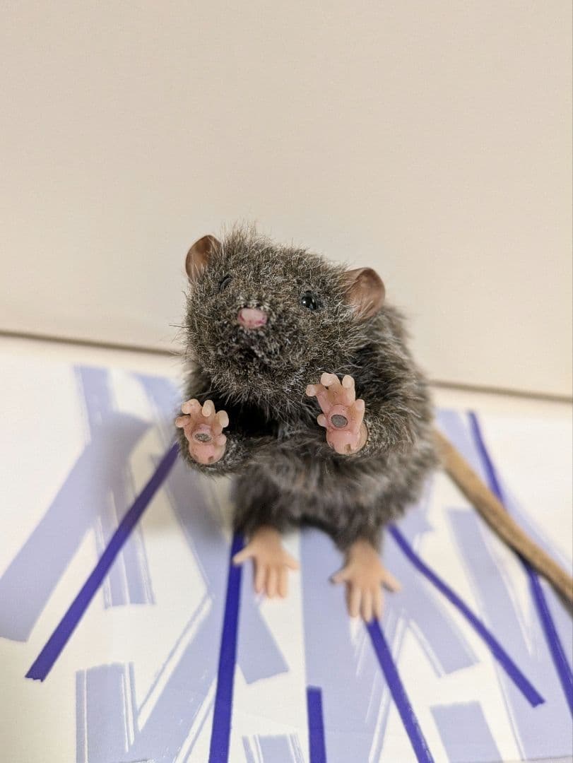 球体関節　ラット　ドール　ぬいぐるみ