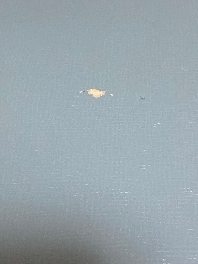 【新品未使用】 フロレンティーン ターコイズ 26点セット 箱付