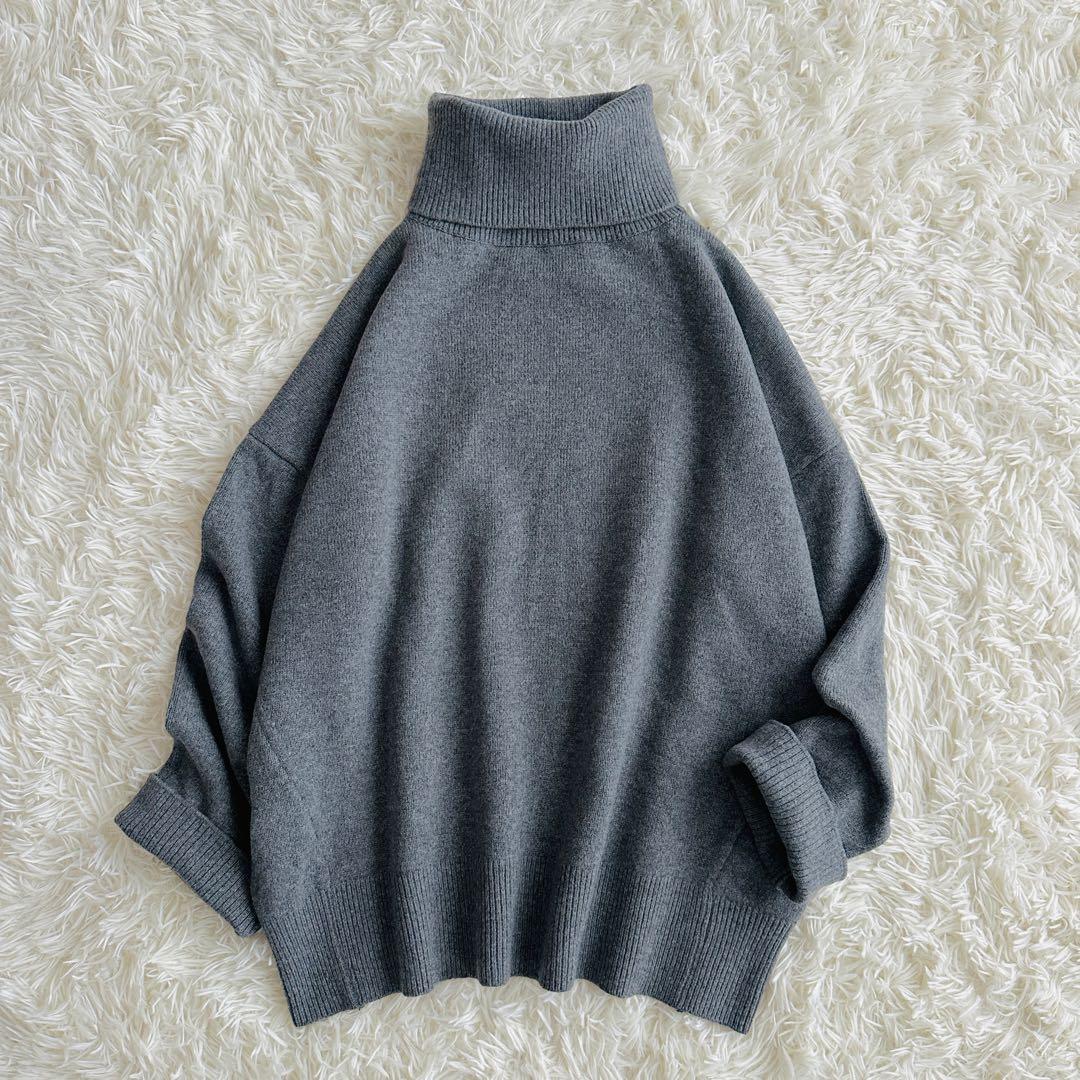 極美品♡名ニット EVERYDAY I LIKE. Ariesタートルネック