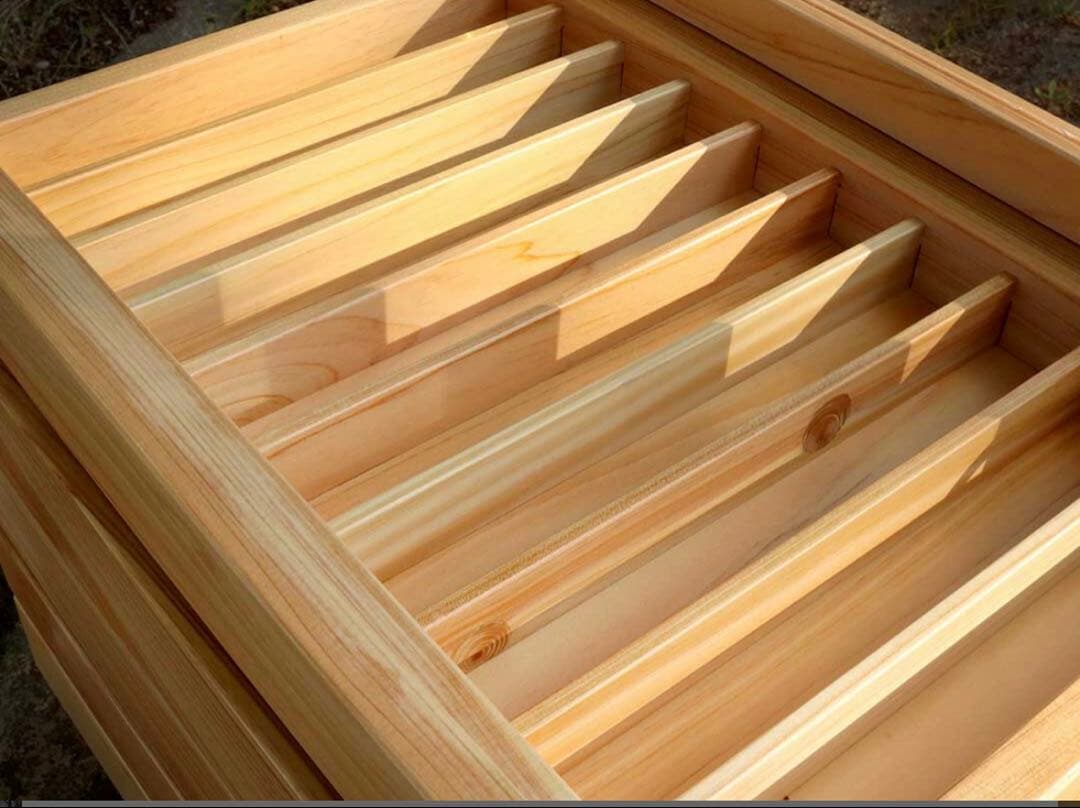 WANCHER Hitasugi Wood Craft 日田杉Penbox 50