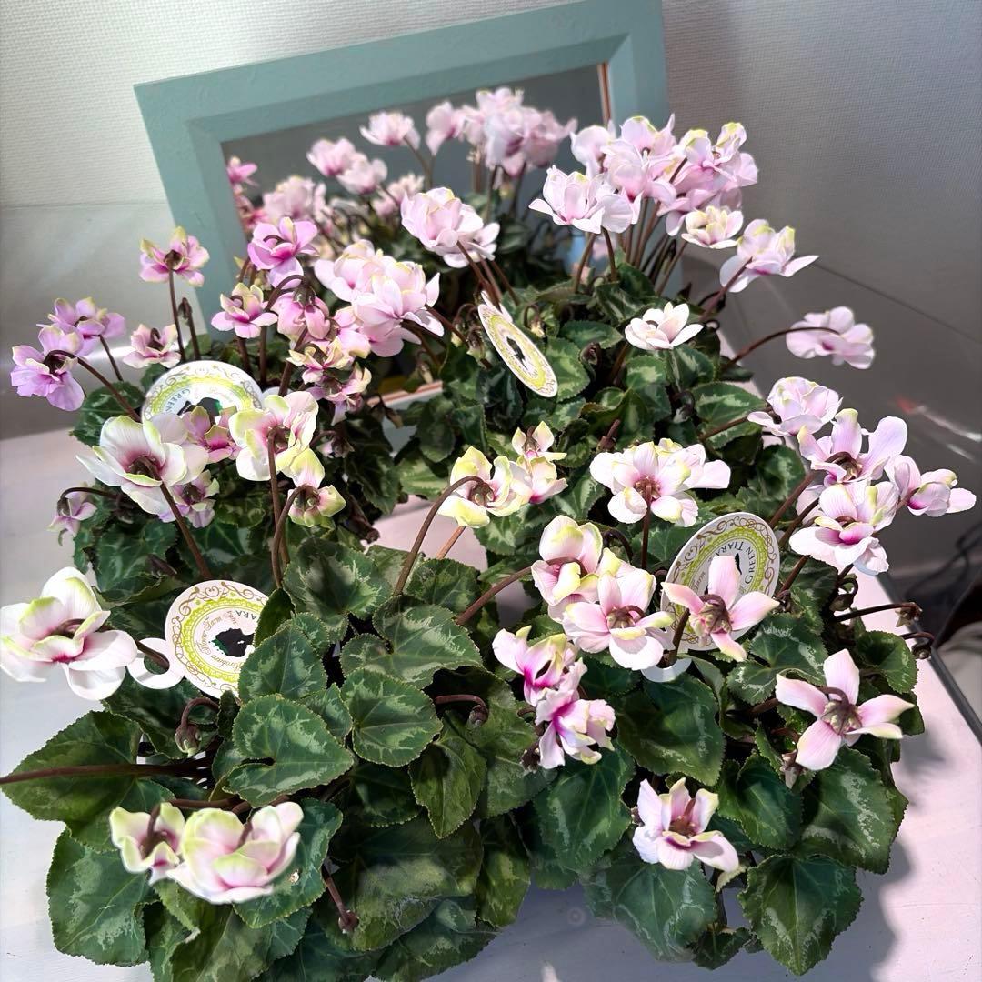 ayakaママ様　リクエスト　おまとめ5点