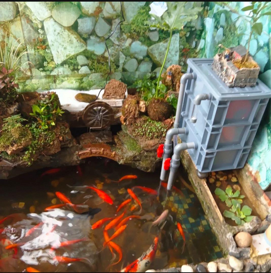 お任せ高性能濾過材2段付き　池水槽用万能フィルター外部式濾過器装置オーバーフロー