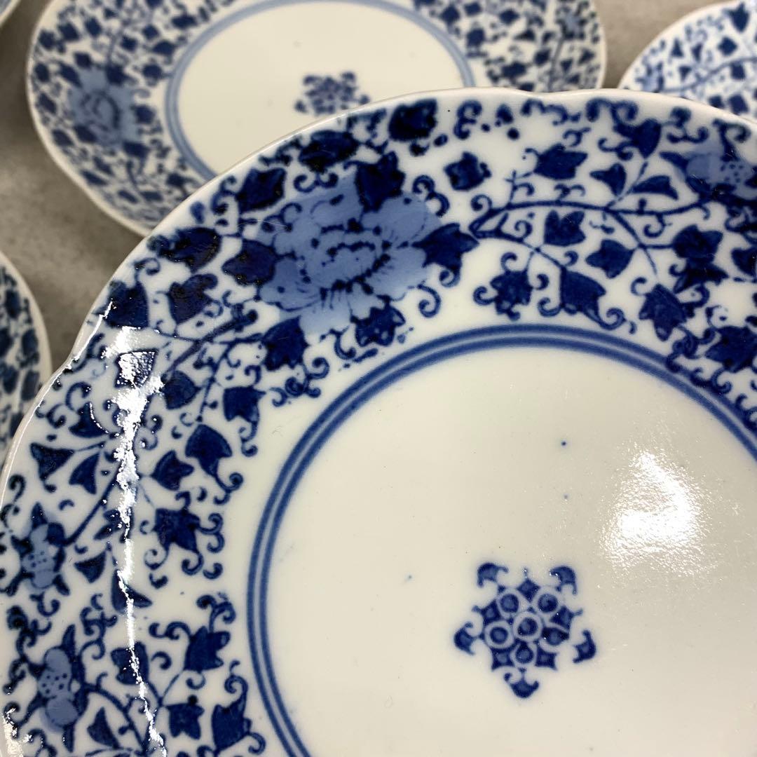 中皿 5点 直径15.3cm 花唐草 染付 藍色 青 古皿 伊万里 有田 ⑨