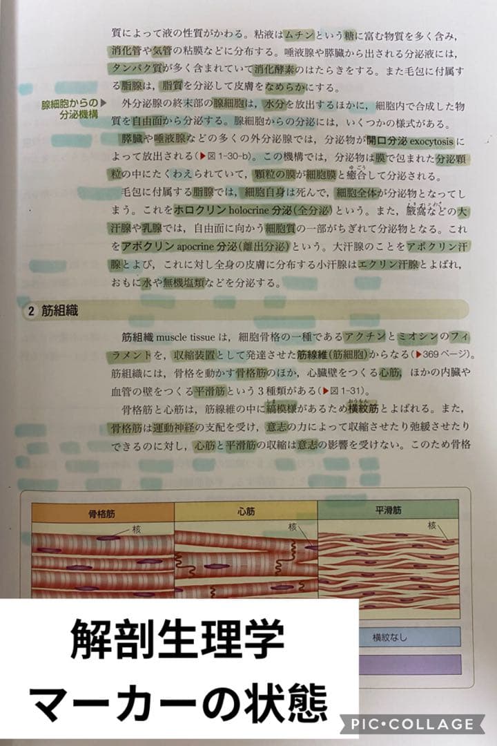 系統看護学講座　医学書院　まとめ売り　33冊