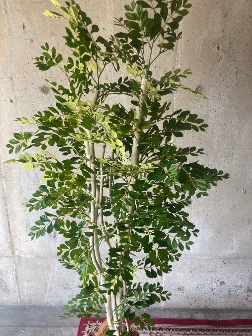 光触媒　人工観葉植物　ウォールグリーン　フェイクグリーン　トネリコ17075aj