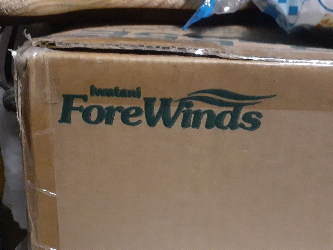 IWATANI　イワタニ　FORE WINDS　ツーバーナー　CB-55E　箱付