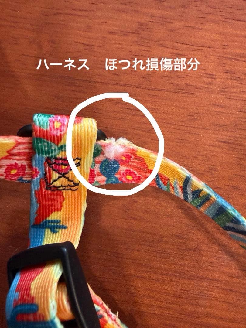 WOLFGANG PackLeader 3点 ハーネス、首輪、リード Sサイズ