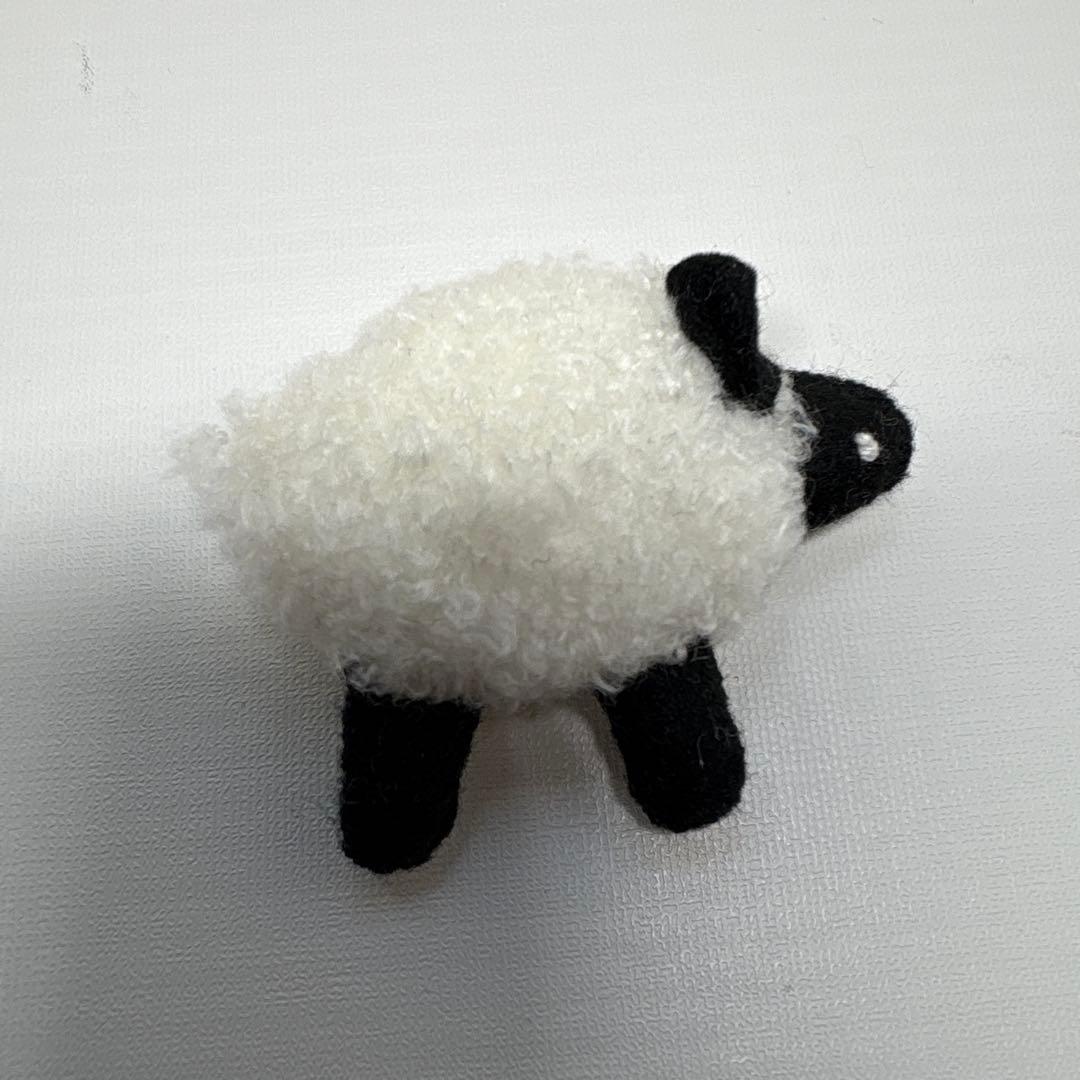 新品 2019年発売 VIOLET AND CLAIRE チャム モンチッチ